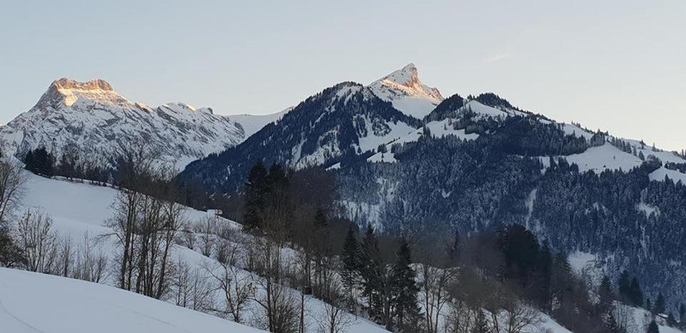 Gasthof Engelberg Scharnachtal Exteriör bild